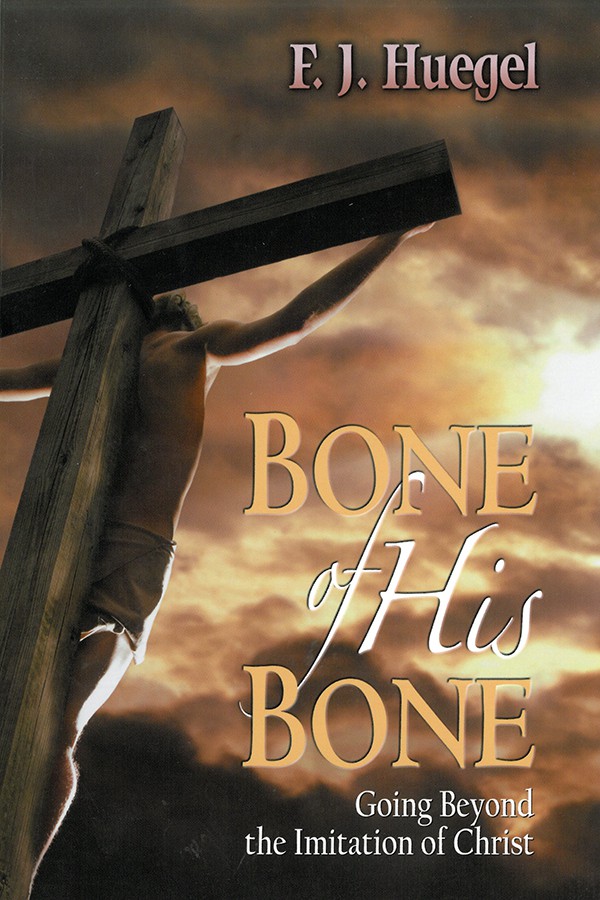 Image result for bone of his bone