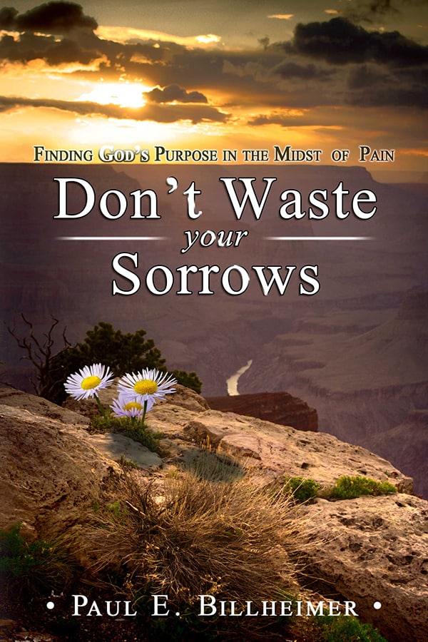 Don't Waste Your Sorrows