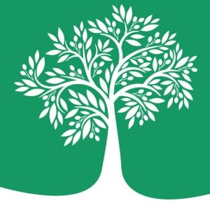 Improving with Age 9781619582071