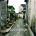 In the Footsteps of Christ