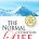 The Normal Christian Life (Paperback)