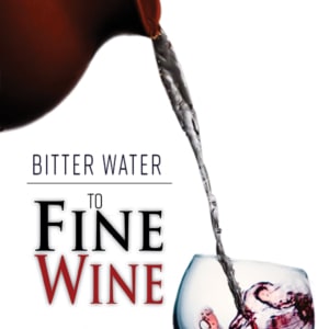 Bitter Water to Fine Wine: Turning Setbacks into Setups 9781619583023