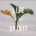 Life in the Spirit