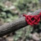 heart knot tied around a tree branch