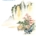 Interpreting Matthew (Hardcover)